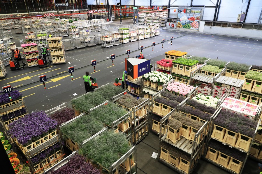 世界最大的鲜花市场是如何进行物流运作的？